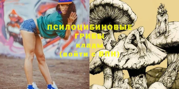 дживик Аркадак