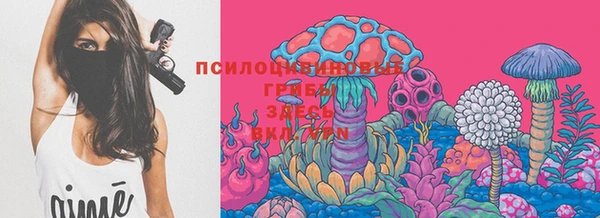 дживик Аркадак